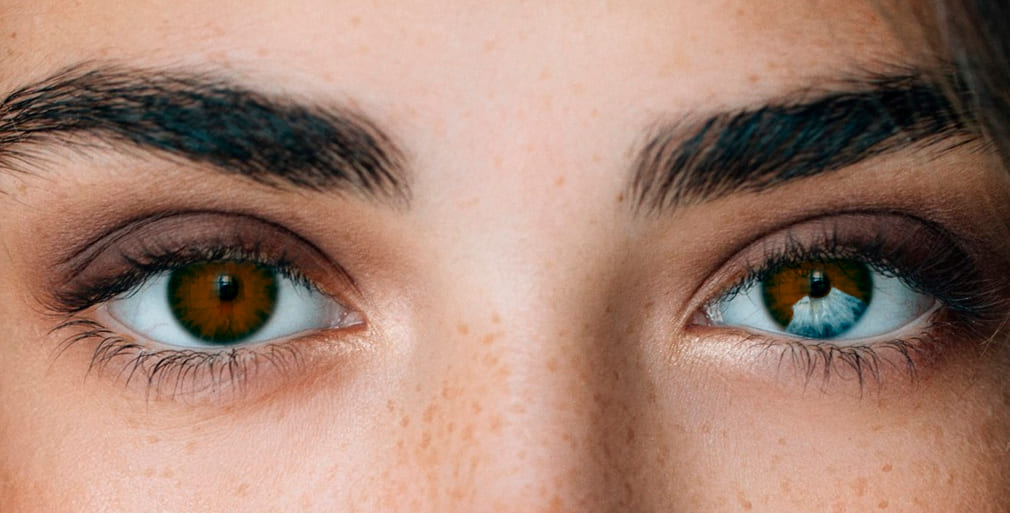 Интересные факты о глазах и зрении